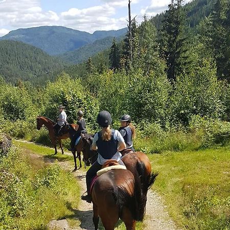 River Run Ranch - Telemark Drangedal Esterno foto