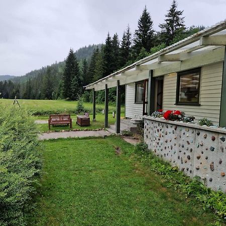 River Run Ranch - Telemark Drangedal Esterno foto