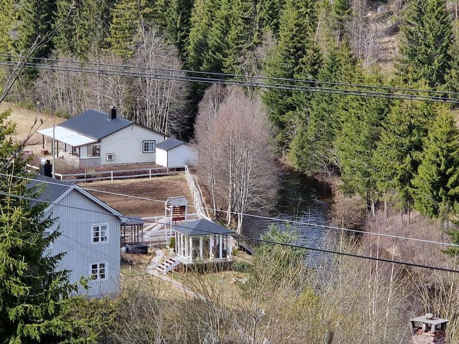 River Run Ranch - Telemark Drangedal Esterno foto